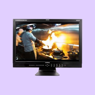 Photo of Flanders Scientific DM240