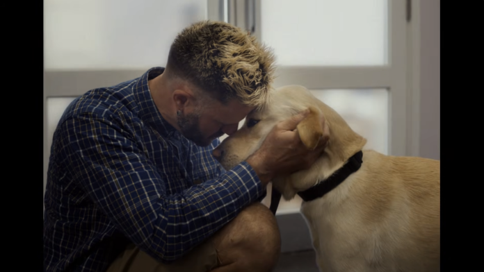 Photo from Guide Dogs 'Life Unleashed'