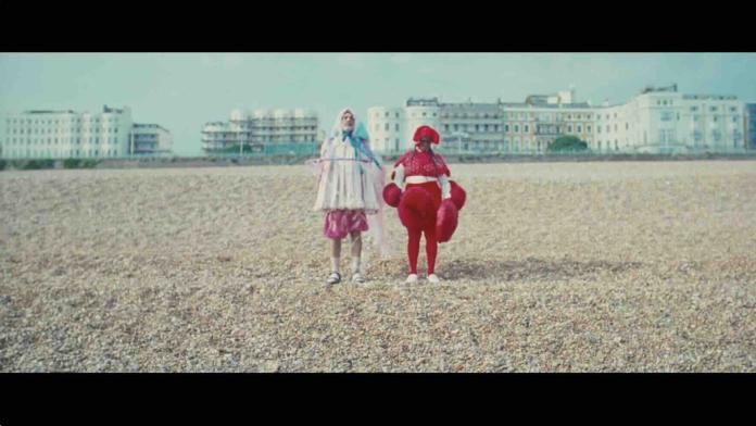 Photo from Jellyfish and Lobster